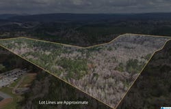 8260 KERMIT JOHNSON ROAD lot: 1, 2, 3, 3B, PINSON, AL 35126
