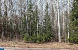 Lund Road lot: 6, Cook, MN 55732