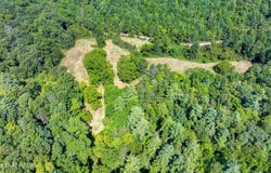 Belcher Loop, Tellico Plains, TN 37385