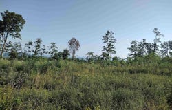 Sutterfield road, Fox, AR 72051