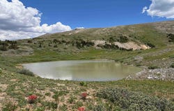 TBD American Flag, Crested Butte, CO 81224
