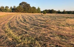 0 Fairview Road, Salem, AR 72576