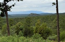 3 Padre Canyon, Glorieta, NM 87535