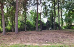 142 Leopard Drive, De Queen, AR 71832