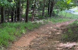Old Lowgap Road, Lowgap, NC 27024