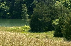 Waterfront Knoll, Sharps Chapel, TN 37866