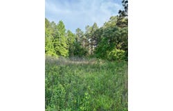 3860 Yellow Creek Road, Louisville, MS 39339