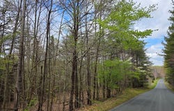 1239 Morris Creek Road, Cullen, VA 23934