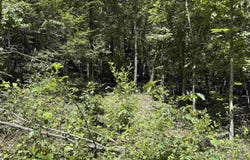 780-01045-000 Saint Clair Trail, Pyatt, AR 72672