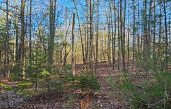 Lot 57.1 Yulan-Barryville Rd, Highland, NY 12791