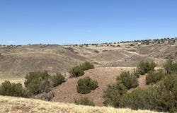 Tbd County Road N5335, Concho, AZ 85924