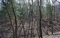 2569 Wilderness Parkway, Jasper, GA 30143