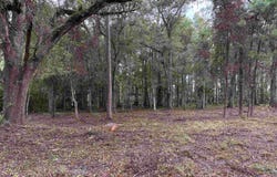 1629 Walker Springs Rd., Monticello, FL 32344