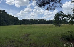 Toni Branch Road, Ellabell, GA 31308