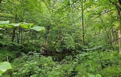 8747 SWEETWATER ROAD, FORT LOUDON, PA 17224
