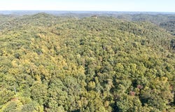 Cow Creek Road, Stanton, KY 40380