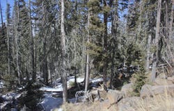 Lot 19 Happy Way, Angel Fire, NM 87718-0000