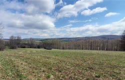 Lot 4 Goddards Road, New Lisbon, NY 13810