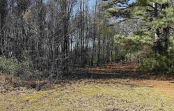 478 Mose Chapel Road, Madison, AL 35758
