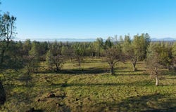 Buffalo Drive, Anderson, CA 96007