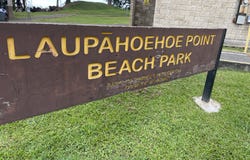 36-1070 LAUPAHOEHOE POINT RD, Laupahoehoe, HI 96764