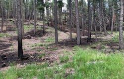 Camino Facil lot: 46, Rociada, NM 87742