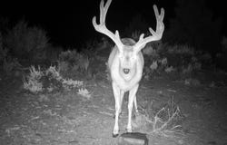 TL 600 Hines Logging Road, Hines, OR 97738