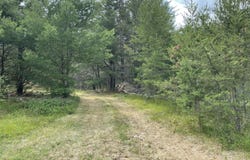 00 E 10 Mile Road, Irons, MI 49644