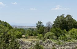 2008 Cottontail Rd 1 lot, Taos, NM 87571