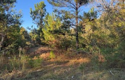 E Wilson Street, Dothan, AL 36303