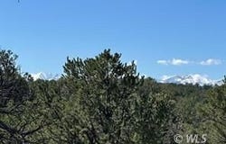 384 Macdonnell Lp, Texas Creek, CO 81223