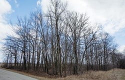 NELSON Road, FOND DU LAC, WI 54937