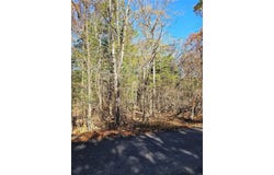0 Pratt Road, Cadet, MO 63630