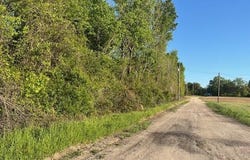 2552 Joseph Lemon Dingle  Rd., Manning, SC 29102
