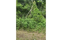 Sellars Street, Daingerfield, TX 75638