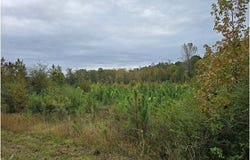 E Highway 378, McCormick, SC 29835