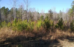 Hemp Street, Robbins, NC 27325