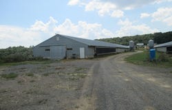 703 NUGGET LANE, KEYSER, WV 26726