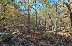2 TBD Henderson Mill Road, Bates, AR 72958