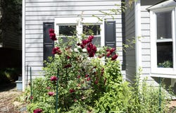 111 Lorilane Drive, Carrboro, NC 27510