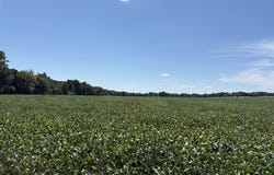 31820 County Road 317, Belle, MO 65013