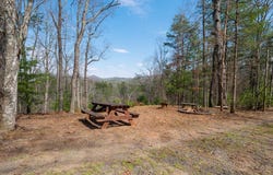 1164 Dividing Ridge Road, Mineral Bluff, GA 30559
