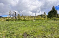 39 MOONLIGHT DR, CURLEW, WA 99118