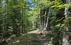 33.85 Acres Cable Lake, Crystal Falls, MI 49920