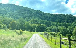 Split Pine Cove, Clyde, NC 28721