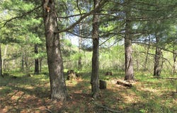 S Long Lake Rd, Siren, WI 54872