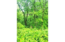 4 Hillside, GALENA, IL 61036