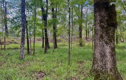 001 Rolling Hills Dr, Chelsea, AL 35043