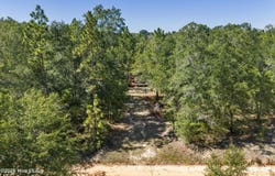 Mary Rawls Road, Wagener, SC 29164