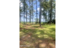 0 Highway 58 N, Trenton, NC 28585